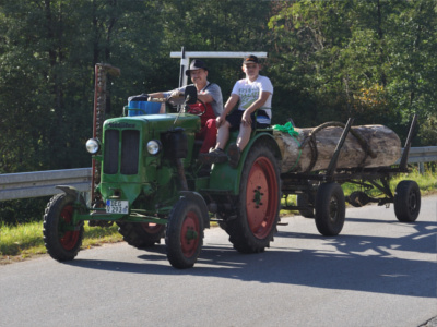 Oldtimer Traktor Baumstammziehen