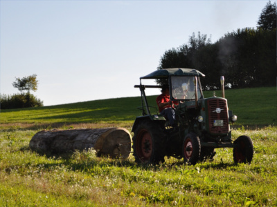 Oldtimer Traktor Baumstammziehen