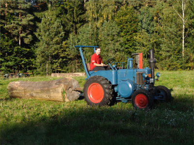 Oldtimer Traktor Baumstammziehen