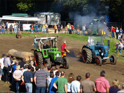 Oldtimer Traktor Baumstammziehen
