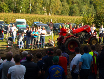 Oldtimer Traktor Baumstammziehen