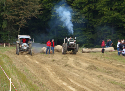 Baumstammziehen 2015