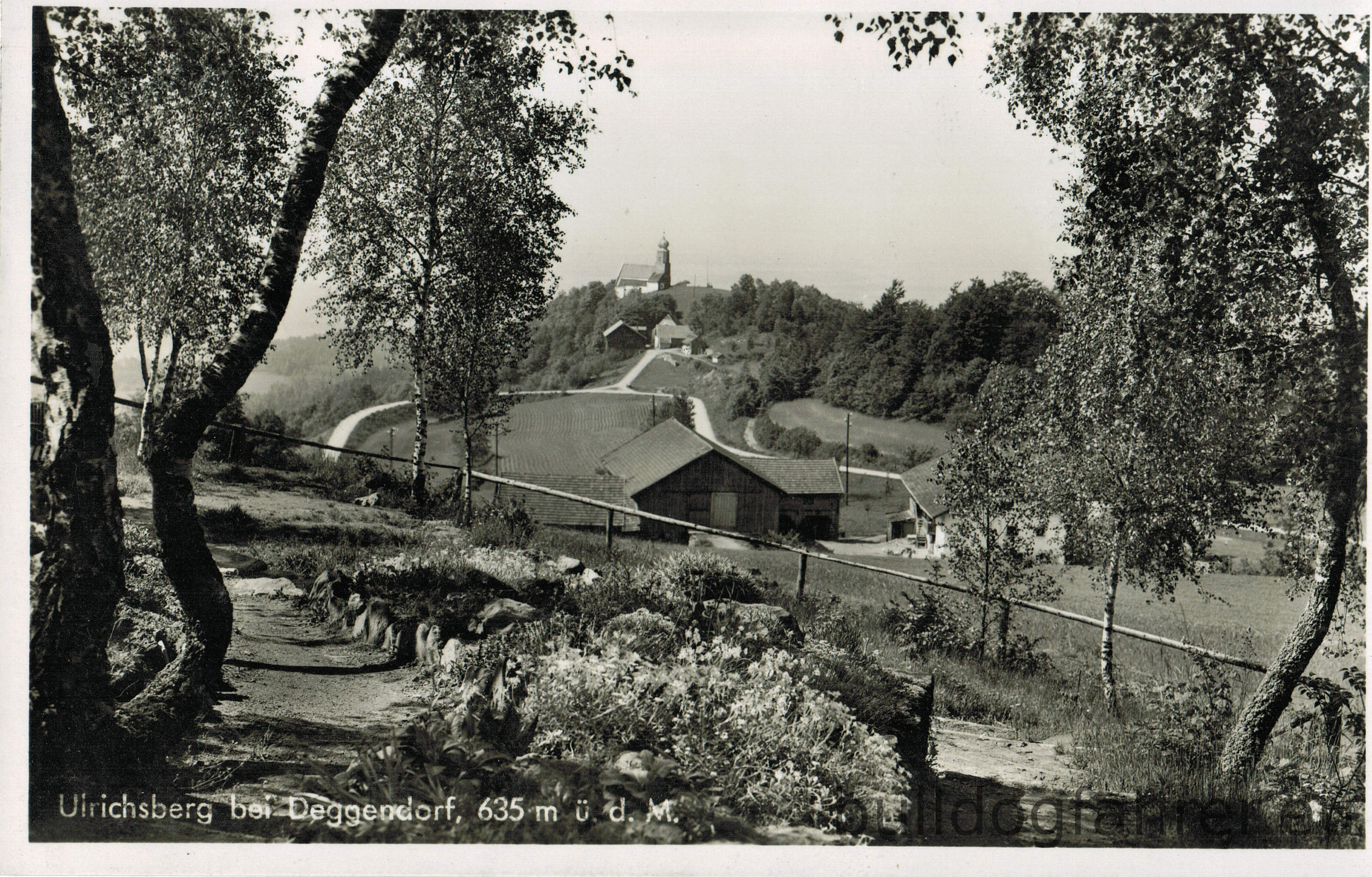 Ulrichsberg